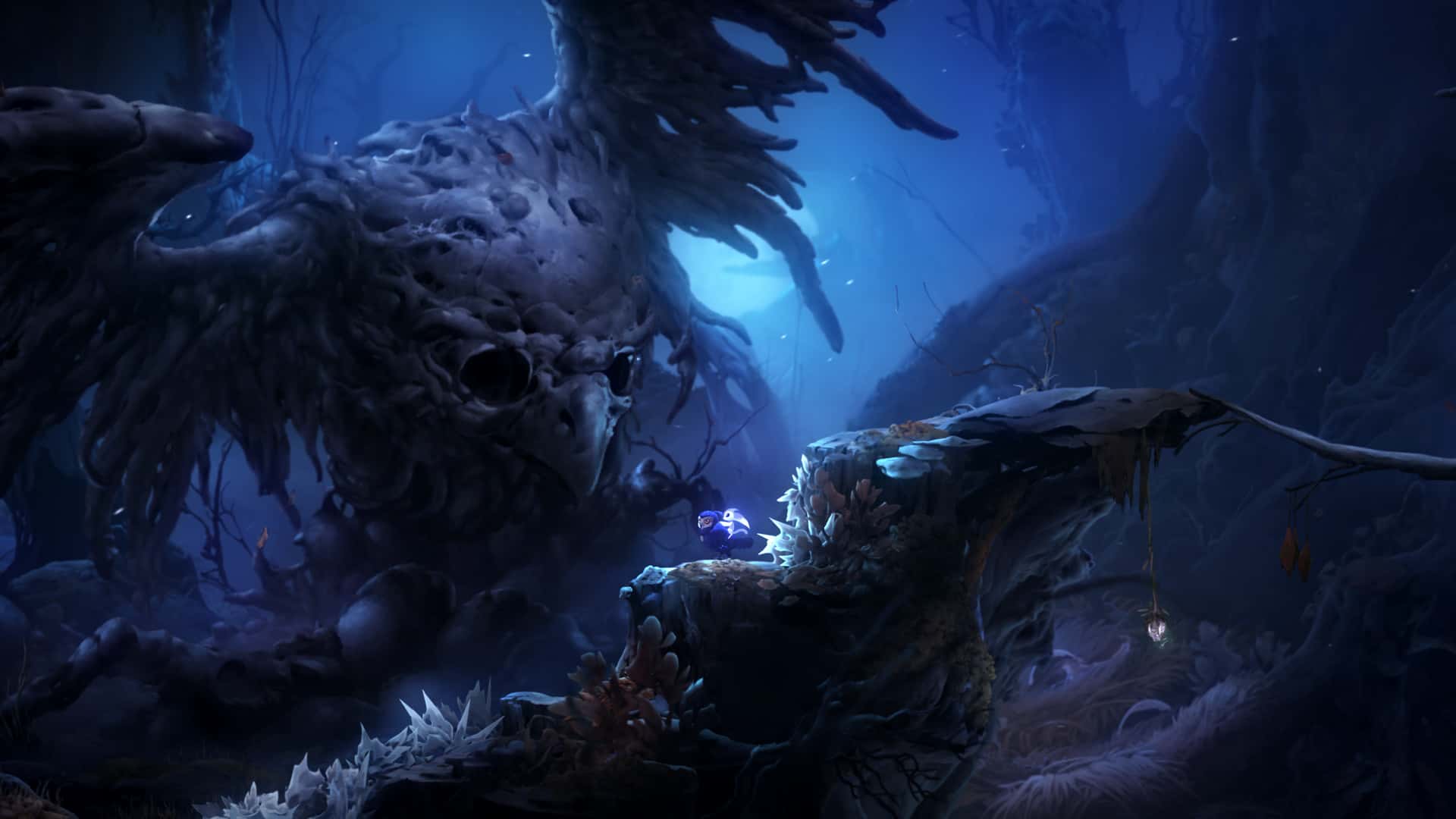 奥日与鬼火意志 精灵与萤火意志 Ori and the Will of the Wisps B.5780606 中文版封面
